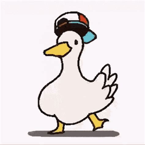 duck gif|duck gif to download free.